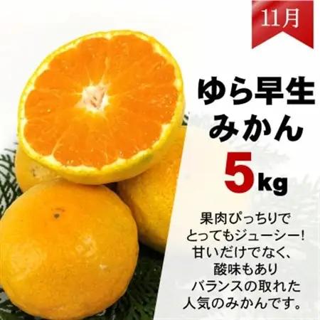 【発送月固定定期便】みかん好きのためのみかん定期便(ゆら早生みかん・完熟みかん)　各5kg　全2回【配送不可地域：離島・北海道・沖縄県】【4052463】