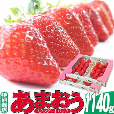 【ふるさと納税】いちご 2027年2月より発送 うるう農園のあまおう スタンダード4パック 約1.14kg 果物 フルーツ デザート 食後 特別栽培 福岡県産 国産 日本産 ※配送不可：離島　お届け：2027年2月中旬～3月末