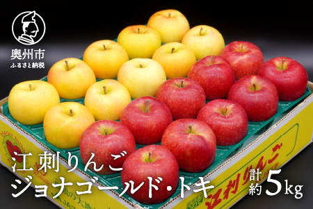 数量限定 江刺りんご ジョナゴールド・トキ 5kg（16～20玉）【10月下旬以降お届け】 離島配送不可 [AQ026]