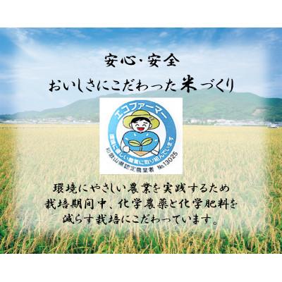 ふるさと納税 日高町 ★令和8年産 新米★ にじのきらめき & きぬむすめ 各2kg(計4kg) 食べ比べセット |  | 01