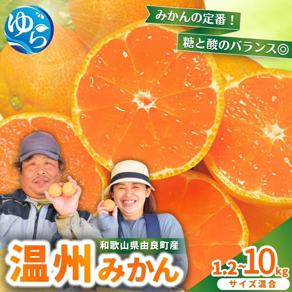 【ふるさと納税】 みかん 温州みかん / 柑橘 密柑 和歌山 由良町 甘い 2kg 5kg 10kg ≪配送月が選べる！≫
