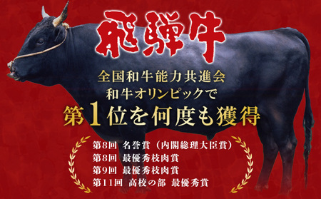 飛騨牛 BBQセット (カルビ300g＋もも・カタ焼肉用400g) 計700g A5 A4 肉のひぐち 20000円