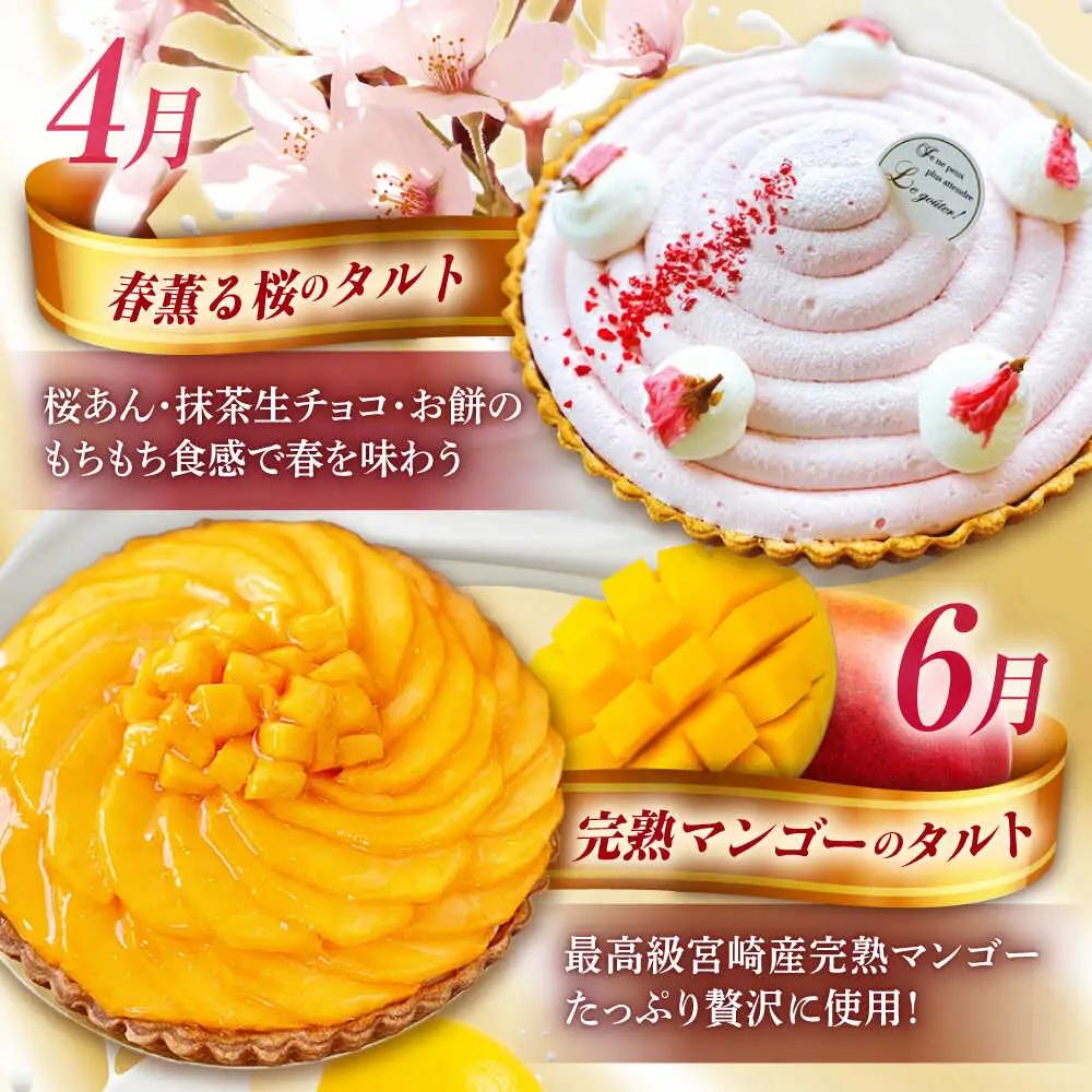 【偶数月 5回定期便】季節の タルト 定期便 / ティラミス お菓子 ケーキ チョコレート マンゴー レモン タルト フルーツ 旬 スイーツ 南島原市 / アトリエジジ[SAA034]