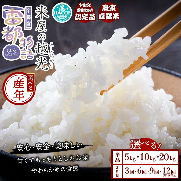 【ふるさと納税】【選べる容量・配送回数・産年】栃木県産コシヒカリ 「米屋の越光」◇