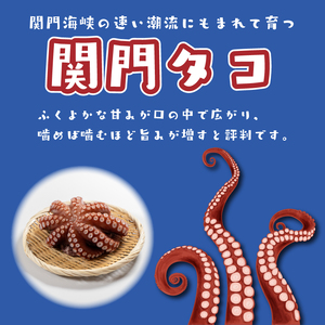 関門タコ 柔らか煮 3個セット 750g 冷凍 タコ 蛸 たこ おつまみ ご飯のお供 おかず 食べきりサイズ 保存 便利 関門海峡 下関 山口 JK002