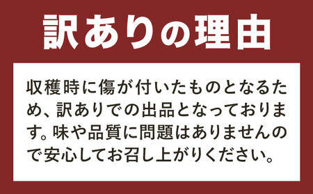 【3ヶ月定期便(毎月)】訳あり たけのこ水煮 切り落としタイプ 計約4.8kg(約200g×8袋×3回) 北薩農産加工場《お申し込み翌月から出荷》鹿児島県 たけのこ 筍 水煮 使いやすい 定期便 春 