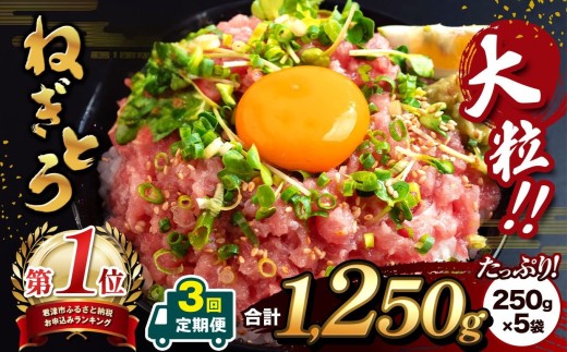 【定期便・3ヶ月】清幸丸水産 大人気！ねぎとろ（250g×5袋）1250g | ネギトロ とろ 鮪 海鮮 魚介 魚 人気 小分け 人気 定番 ご飯 オススメ 千葉県 君津市 きみつ