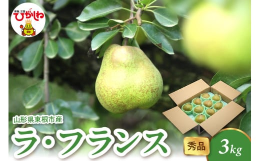 2025年産 ラ・フランス3kg（6-13玉） 秀品 山形県 東根市 hi082-021-1