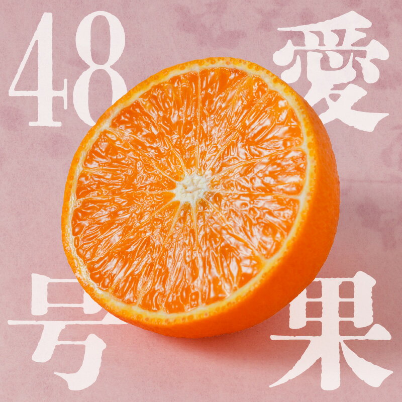 【ふるさと納税】 愛果48号 (紅プリンセス と同品種) 家庭用 1kg/2.5kg 【2026年3月上旬から発送】 | 愛果 あいか B品 サイズ混合 みかん ミカン 蜜柑 果物 くだもの フルーツ 高級 贈答 ギフト 柑橘 柑橘類 かんきつ 愛媛果試第48号 国産 蓮果園 愛媛 松山