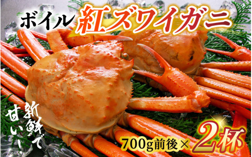 【先行予約】【冷凍】ボイル紅ズワイガニ 2杯 大サイズ 冷凍茹で上がり後 700g前後×２杯 【26年10月以降順次発送】【(有)カネツル砂子商店】 [B-002007]