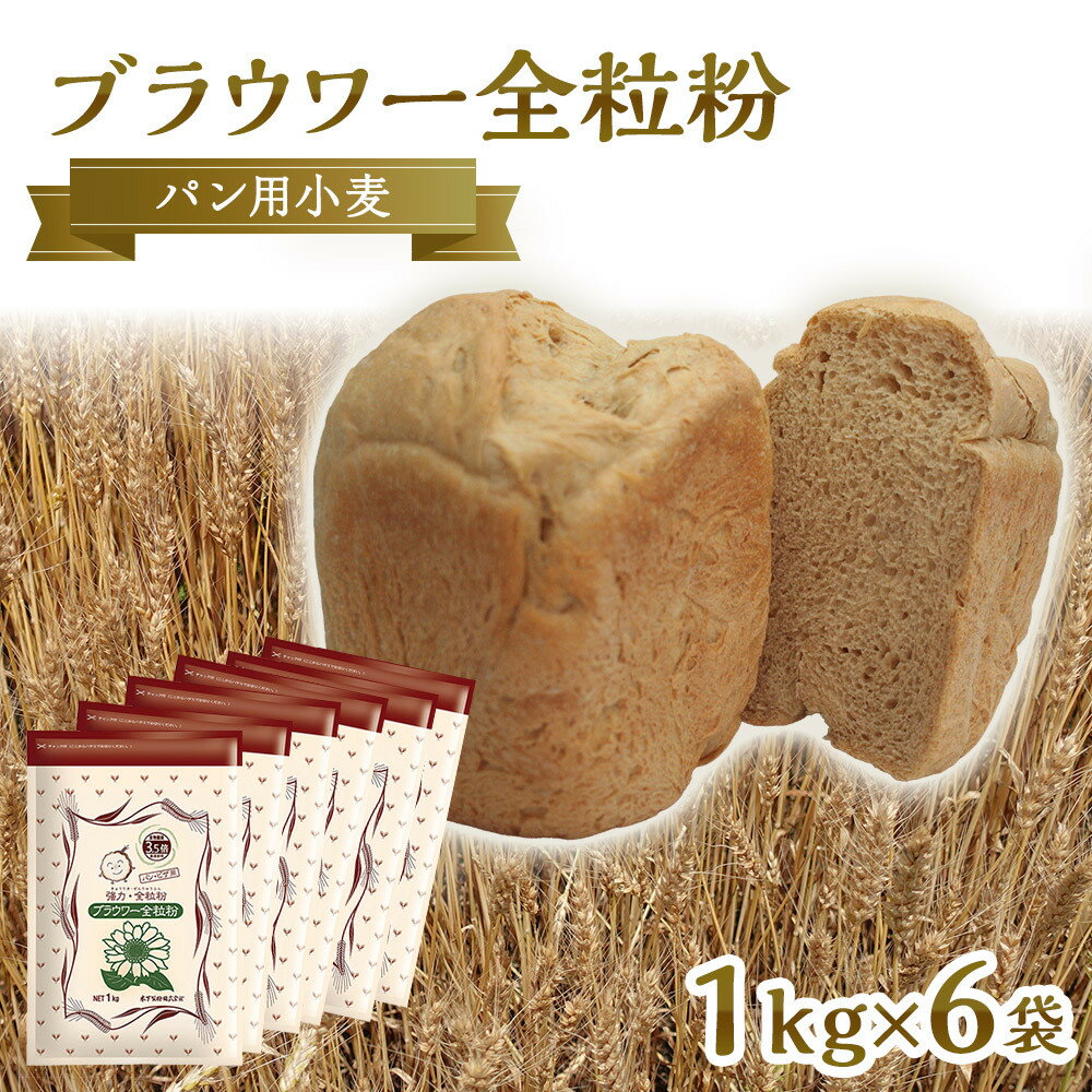 【ふるさと納税】パン用の小麦全粒粉「ブラウワー全粒粉」1kg×6袋