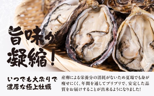 【数量限定】殻付き 生牡蠣（加熱用）1kg　| 軍手・牡蠣ナイフ付 牡蠣 カキ かき 生 殻付牡蠣 フライ 鍋 バーベキュー BBQ 海鮮 魚介 魚貝 貝 海 海産物 渥美半島 田原市 愛知県 国産 