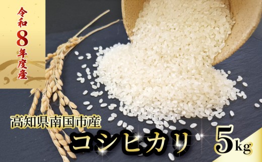 【スピード配送】令和8年 南国市産 コシヒカリ 白米 5㎏ | 早場米 数量限定 米 コメ お米 ご飯 おにぎり こめ 弁当 高知県 南国市