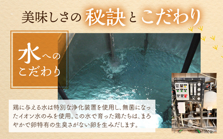 【3回定期便】コク旨 極上卵 60個 割れ保証付き 卵