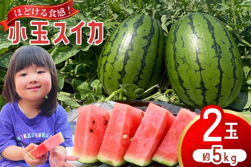 BJ461 【令和9年度出荷分】 Farm honda 小玉スイカ 2玉 計5kg [ 先行予約 数量限定 小玉 スイカ 西瓜 フルーツ 果物 長崎 長崎県 島原市 ]