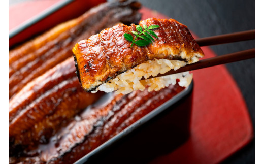 【贈答用】【4回定期便】極上国産うなぎ四万十桜　蒲焼き約140g×5尾|うなぎ 鰻 蒲焼き 定期便 国産 四万十鰻 白焼き 調理済み タレ付き 頒布会 ギフト（お歳暮/お正月）高級 お取り寄せ グルメ