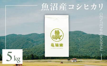 魚沼産コシヒカリ 亀福 原点復帰米 5kg 特別栽培 |津南町 魚沼 令和7年
