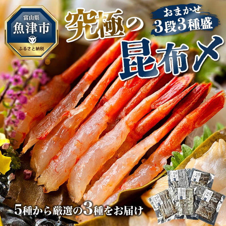 究極の昆布〆,お任せ3段3種盛（急速冷凍品）魚卸問屋はりたや 富山県魚津市 昆布締め こぶじめ 刺身 天然昆布 ※北海道・沖縄・離島への配送不可