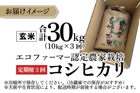 【先行予約】【令和8年産 新米】【3ヶ月定期便】越前大野産 エコファーマー認定農家栽培こしひかり 玄米 10kg × 3回 計30kg【2026年10月より順次発送】
