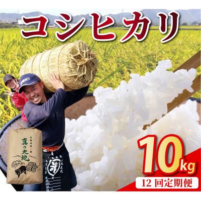 ふるさと納税 亀岡市 【毎月定期便】農家直送 京都丹波産 コシヒカリ 精米 10kg(10kg×1袋)全12回