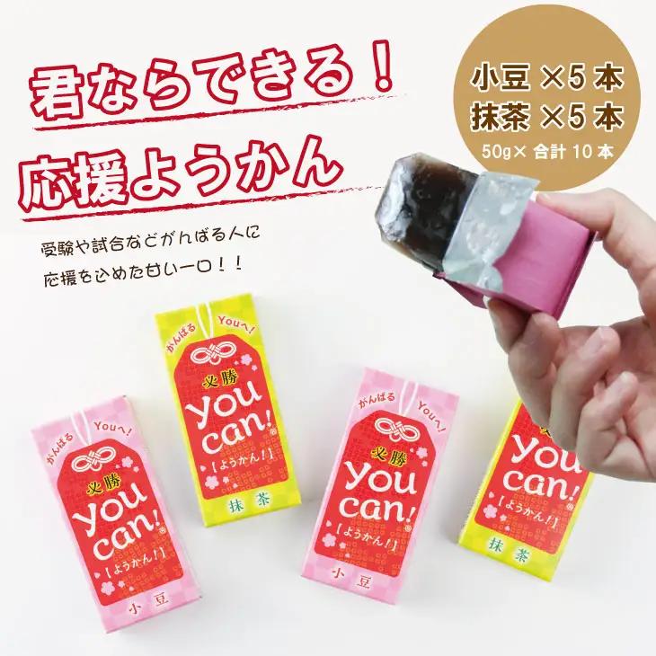 you can! ようかん10本入 A070-041 羊羹 和菓子 羊羹