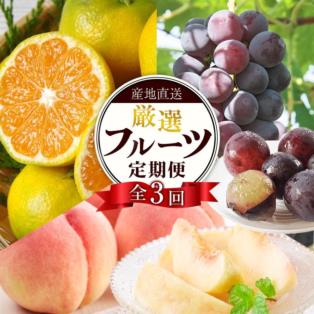 【ふるさと納税】【定期便全3回】産直・厳選フルーツ定期便【TM190】 | フルーツ 果物 くだもの 食品 人気 おすすめ 送料無料