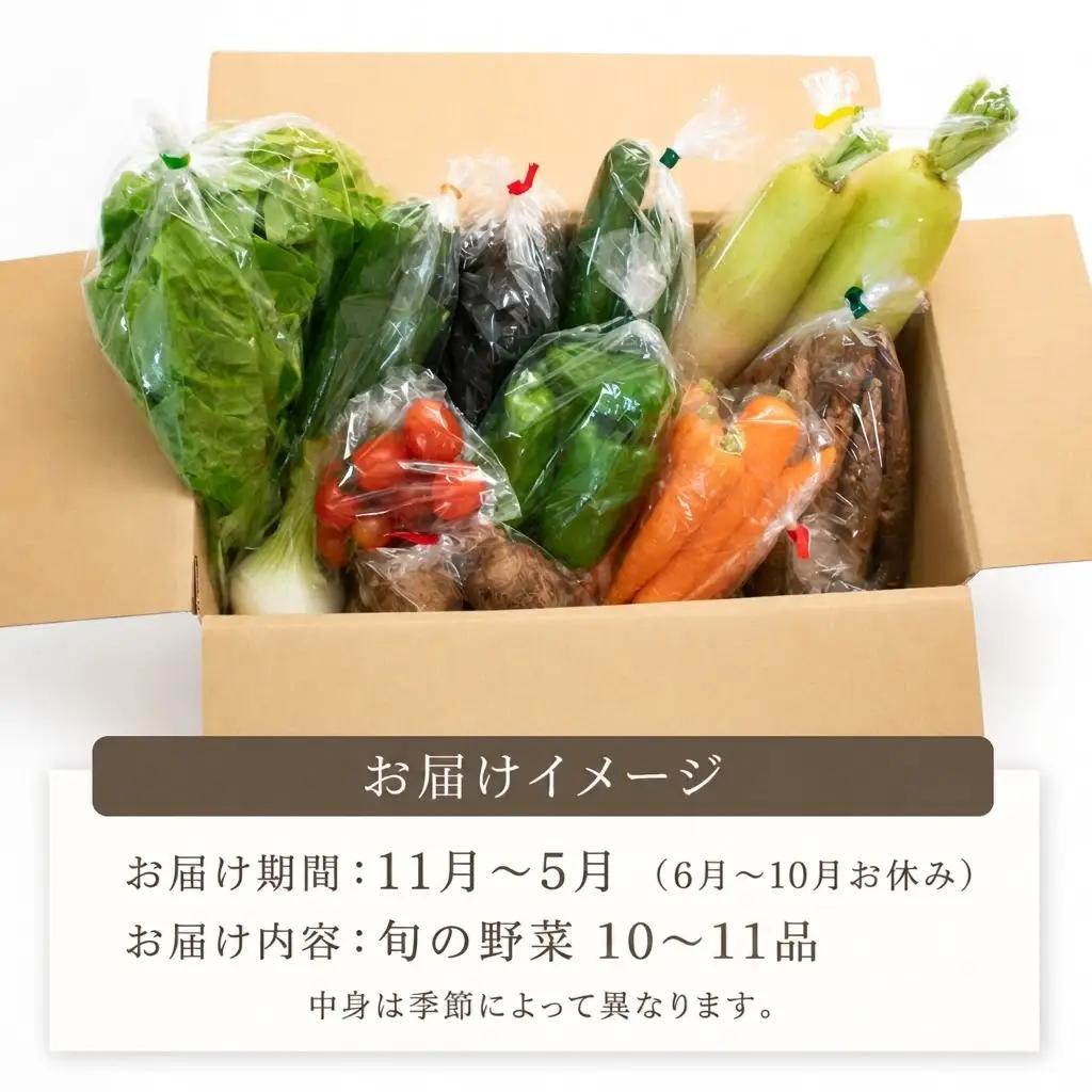 【先行予約】 【3回定期便】 新鮮野菜セット(10～11品)