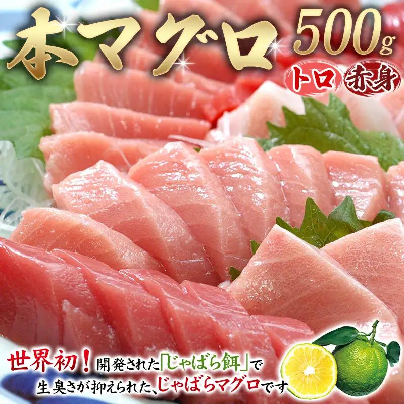 本マグロ（養殖）トロ＆赤身セット 500g まぐろ【nks110D】