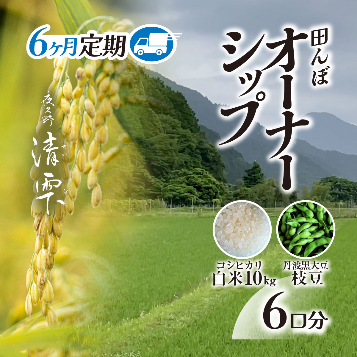 【ふるさと納税】＜令和7年9月末より発送！＞【6ヶ月定期】田んぼオーナーシップ6口分　清雫　白米10kg+黒ムラサキ（丹波黒大豆の枝豆）/ ふるさと納税 田んぼ オーナー制度 米 白米 令和7年度産 先行 定期 10kg 6回 収穫 夜久野 京都 京都府 福知山 FCDB011