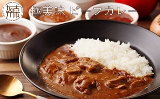 極美味ビーフカレー 4個セット＜レギュラー2個・マイルド2個＞《 おすすめ カレー 人気 レトルト 牛肉 ビーフカレー セット 詰め合わせ お取り寄せ グルメ 送料無料 》【2401I00801】