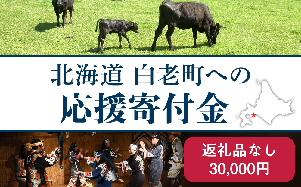 北海道 白老町☆応援寄付金☆30,000円【返礼品なし】【QQ005】