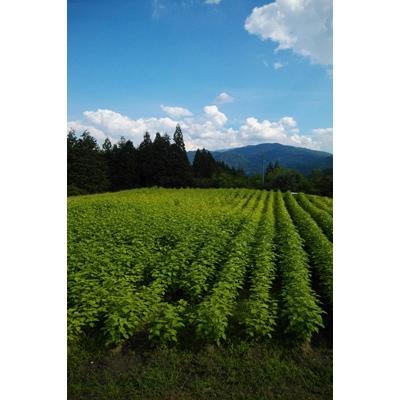 ふるさと納税 南木曽町 南木曽産えごま油　生しぼり110ml　2本セット |  | 01