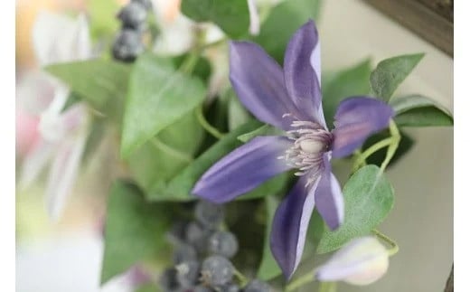 【空気をキレイにするお花】クレマチスの壁掛け フラワーアレンジメント