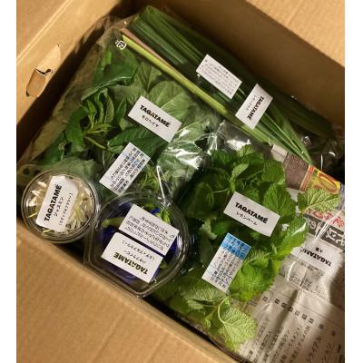 ふるさと納税 香川県 旬を楽しむTAGATAMEのおまかせお野菜セット(7〜10品) |  | 02