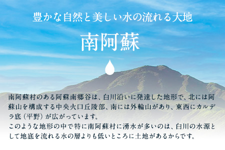 【ふるさと納税】DLG7連続金賞受賞！『阿蘇の逸品』ハム・ソーセージ バーベキューセット《30日以内に出荷予定(土日祝除く)》物産館自然庵 ハム ソーセージ ウィンナー ベーコン st-p