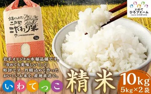 令和7年産 いわてっこ 精米 10kg（5kg×2袋） ／ お米 米 白米 ご飯 飯 こめ コメ 産地直送 産地 直送 国産 岩手県産