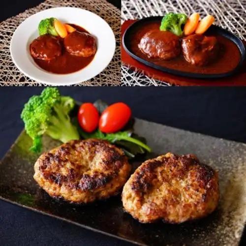 飛騨牛入特製生ハンバーグ　100g×20個【配送不可地域：離島】【1721801】