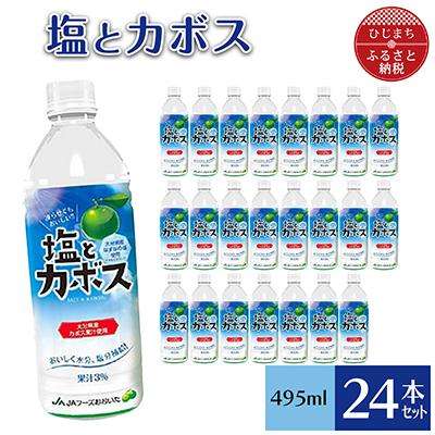 ふるさと納税 日出町 塩とカボス(495ml×24本)