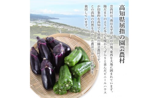 どっさり！新鮮野菜の詰合せ 7～10種類 ピーマン 茄子 なす ナス おまかせ 特産品 野菜 やさい 野菜セット おかず 健康 新鮮 詰め合わせ お楽しみ お取り寄せ 通販_イメージ4