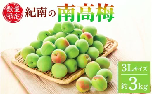 【2025年分予約】紀南の南高梅（3Lサイズ）約3kg※2025年5月下旬～6月中旬頃順次発送予定 / 田辺市 果物 果実 くだもの かじつ 梅 青梅 生梅 梅干し うめぼし 梅酒 梅ジュース 梅シロップ 手作り 自家製 新鮮 【okw004】