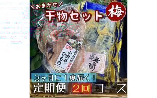 【3ヶ月に1回定期便2回】厳選！小田原の旬の干物セット 梅【 まぐろや 神奈川県小田原市 】