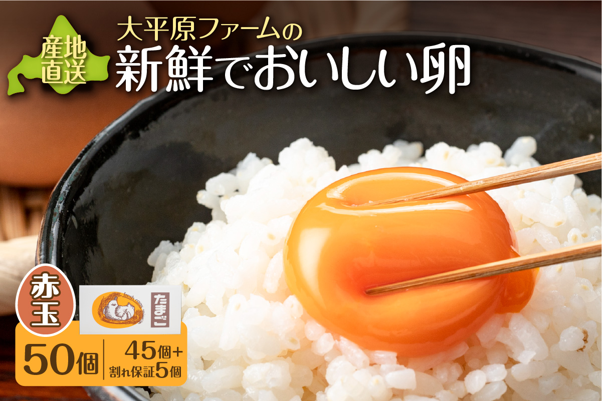 大平原ファームの新鮮でおいしい卵(赤卵) 50個【北海道 清水 卵 50個 こだわり卵 赤卵 卵かけご飯 玉子 タマゴ 卵焼き TKG 温泉卵 オムレツ ゆでたまご 栄養満点 国産 】