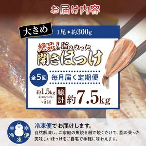 【5回定期便】絶品脂ののった 北海道産 開きほっけ 約1.5kg (約300g×5尾セット) ｜ ほっけ_05211