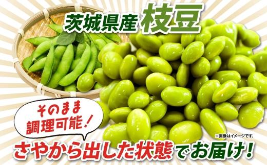 冷凍 むき枝豆 計1.0kg (500g×2袋) 茨城県産 枝豆 訳あり 不揃い えだまめ えだ豆 ご飯 おかず サラダ つまみ おやつ 小分け 日常使い フードロス削減 SDGs 家庭用 水戸冷凍食