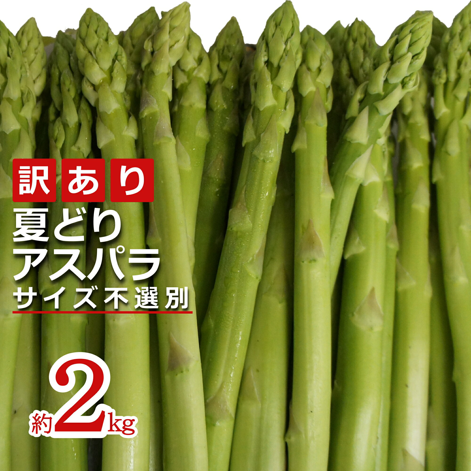 【ふるさと納税】訳あり ＼ たっぷり 約2kg ／ 新鮮 で シャキシャキ な 夏 旬 アスパラ S〜2Lサイズ 夏採り アスパラガス ミネラルや ビタミン が豊富な おいしい アスパラ 炒め物 や サラダ 天ぷら など 様々な お料理 で活躍 【2025年7月〜8月発送】 H156(R7)