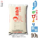 【ふるさと納税】【令和6年産 新米】さがびより無洗米 10kg│米 白米 お米 精米 銘柄米 国産 美味しい おいしい ブランド米 人気 コメ こめ おこめ ごはん ご飯 安心安全 取り寄せ グルメ 食べ物 九州産 佐賀県産 送料無料 10キロ H061418