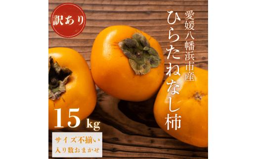 《秋の味覚 種なしで食べやすい》愛媛八幡浜産 ひらたねなし柿 訳あり15kg＜H20-28＞【1323617】 YWTI023