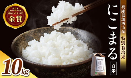 にこまる 特別栽培米 白米 精米 にこまる【5kg×2袋】
