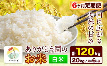 【6ヶ月定期便】 ありがとう園の白米 20kg