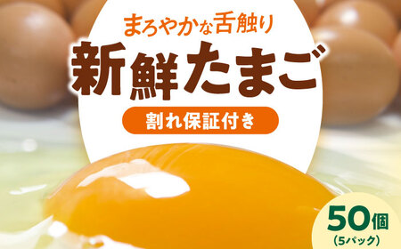 平飼い 海草たまご 5パック（50個入り）割れ保証あり 愛媛県大洲市/和田養鶏場 卵 たまご 鶏卵 卵料理 玉子[AGDQ002]